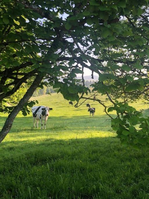 La Doline Charmant Logement De Vacances A La Ferme Lägenhet Le Peuchapatte Exteriör bild