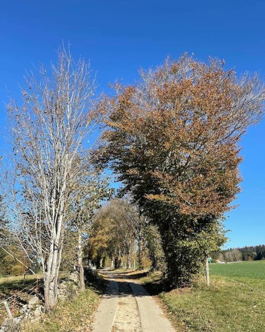 La Doline Charmant Logement De Vacances A La Ferme Lägenhet Le Peuchapatte Exteriör bild