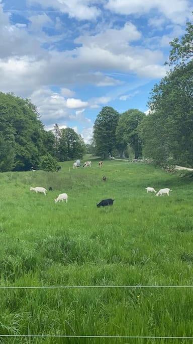 La Doline Charmant Logement De Vacances A La Ferme Lägenhet Le Peuchapatte Exteriör bild