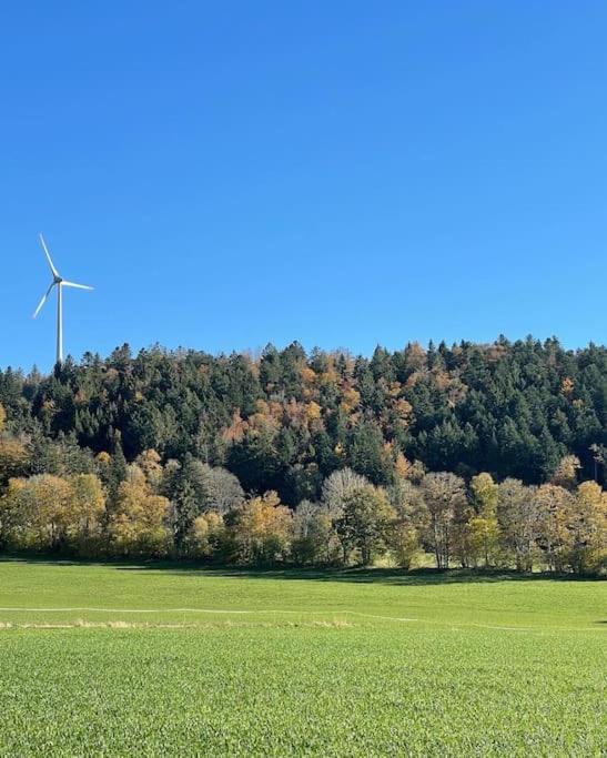 La Doline Charmant Logement De Vacances A La Ferme Lägenhet Le Peuchapatte Exteriör bild